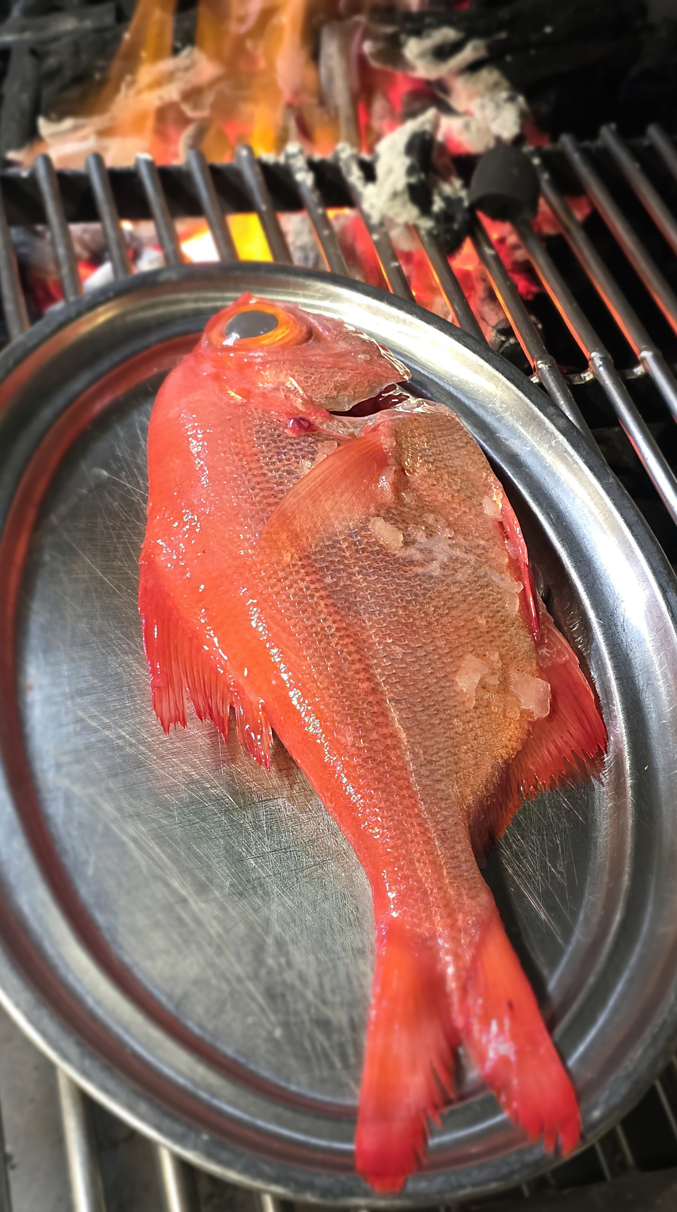 Palometa Roja