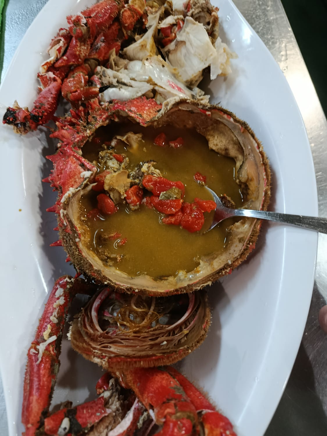 Centolla