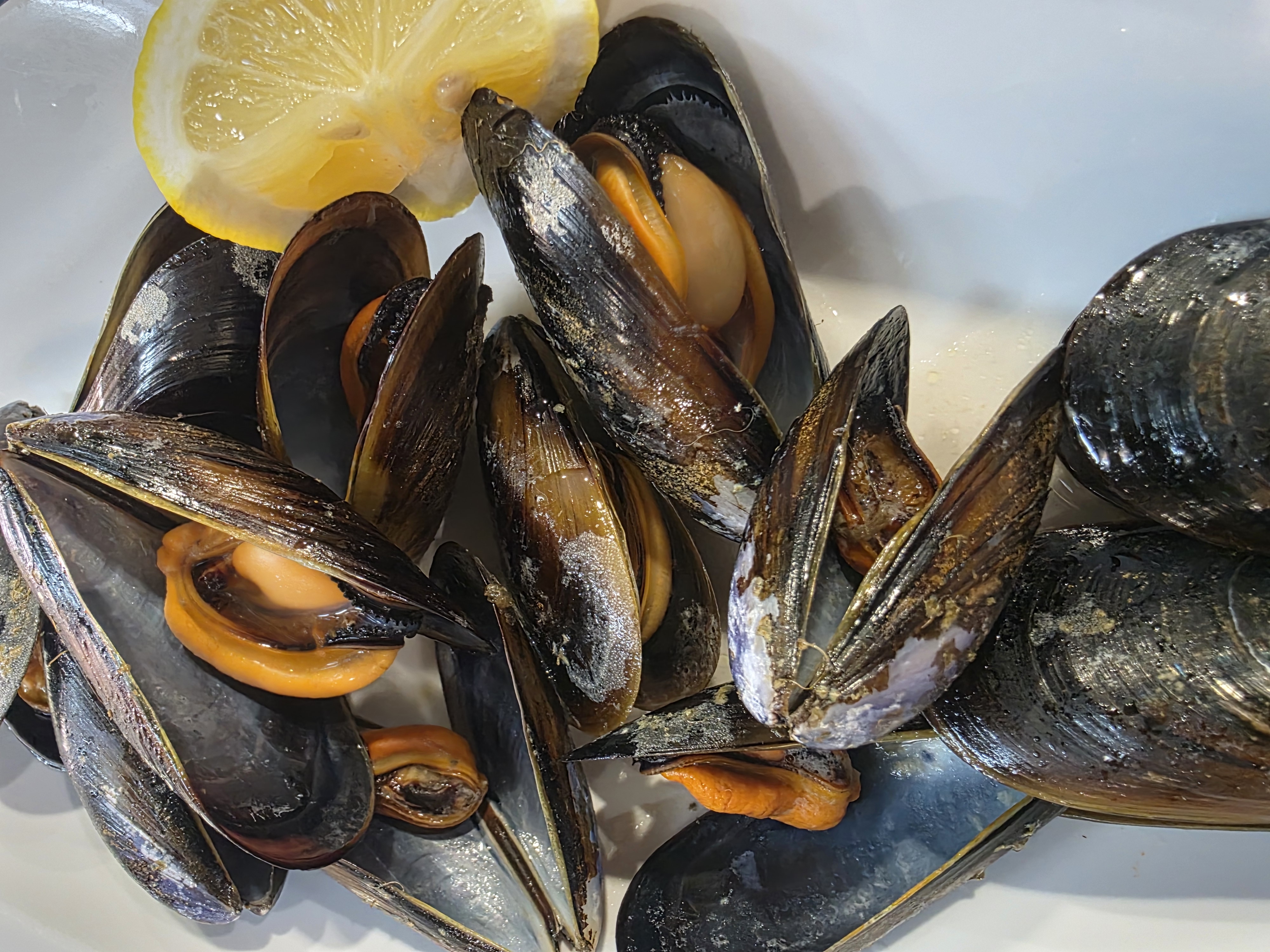 Mejillones al vapor